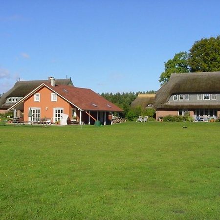 Ferienwohnung Nr 07 Og Spitzboden Борн Екстер'єр фото